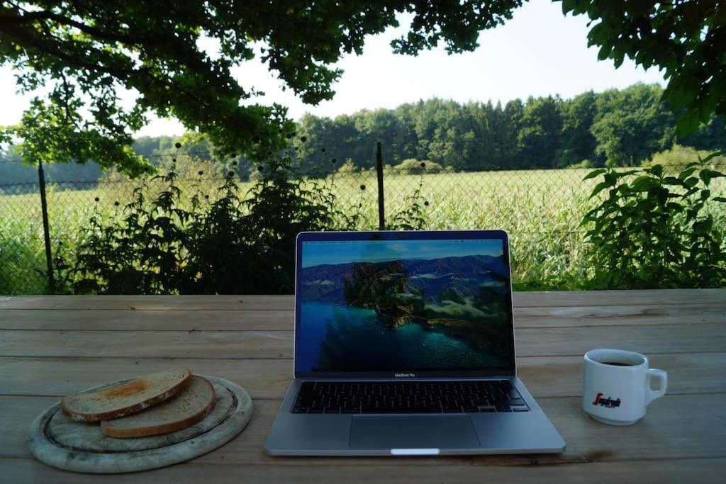 Idylisches Cottage Mit Reh Worthsee Exteriör bild