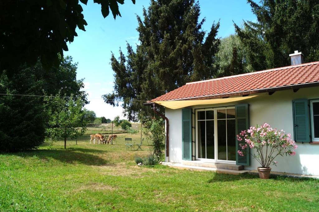 Idylisches Cottage Mit Reh Worthsee Exteriör bild
